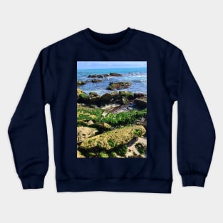 Seaweed covered rocks on the shore Crewneck Sweatshirt